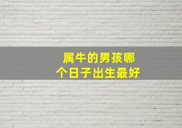 属牛的男孩哪个日子出生最好