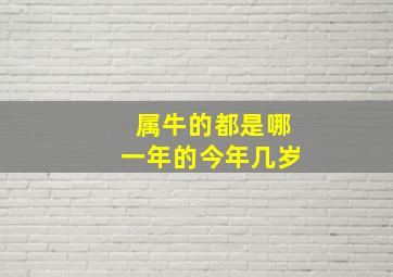 属牛的都是哪一年的今年几岁