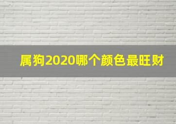 属狗2020哪个颜色最旺财