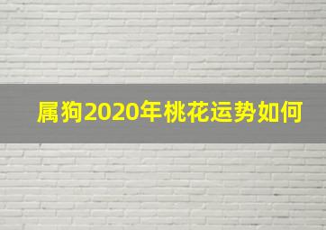 属狗2020年桃花运势如何