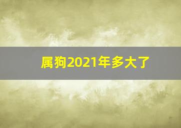 属狗2021年多大了