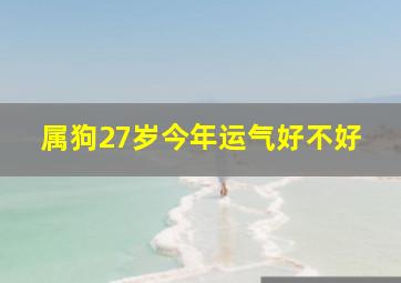 属狗27岁今年运气好不好