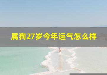 属狗27岁今年运气怎么样