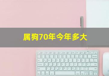 属狗70年今年多大