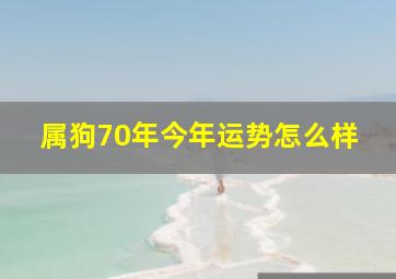 属狗70年今年运势怎么样