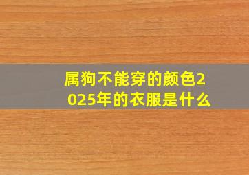 属狗不能穿的颜色2025年的衣服是什么