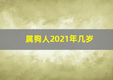 属狗人2021年几岁