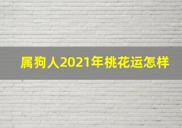 属狗人2021年桃花运怎样