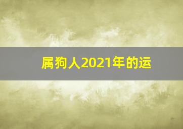 属狗人2021年的运