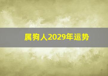 属狗人2029年运势