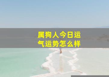 属狗人今日运气运势怎么样