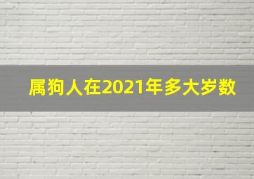 属狗人在2021年多大岁数