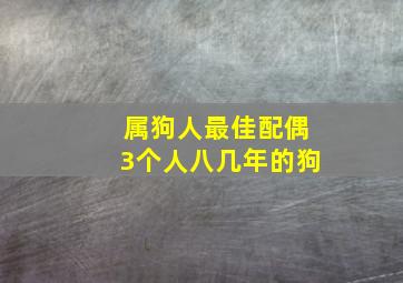 属狗人最佳配偶3个人八几年的狗