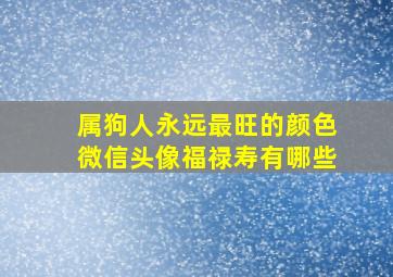 属狗人永远最旺的颜色微信头像福禄寿有哪些