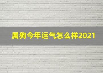 属狗今年运气怎么样2021