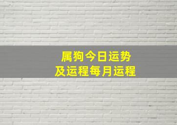 属狗今日运势及运程每月运程