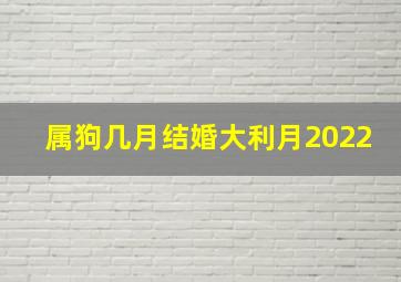 属狗几月结婚大利月2022