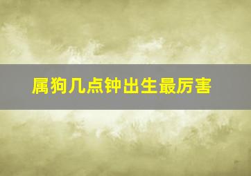 属狗几点钟出生最厉害