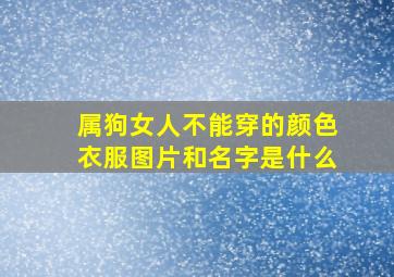 属狗女人不能穿的颜色衣服图片和名字是什么