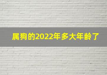 属狗的2022年多大年龄了