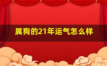 属狗的21年运气怎么样