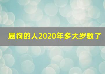 属狗的人2020年多大岁数了