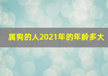 属狗的人2021年的年龄多大