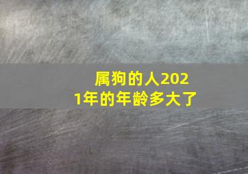 属狗的人2021年的年龄多大了