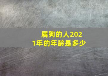 属狗的人2021年的年龄是多少