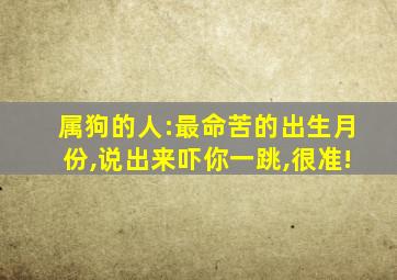 属狗的人:最命苦的出生月份,说出来吓你一跳,很准!