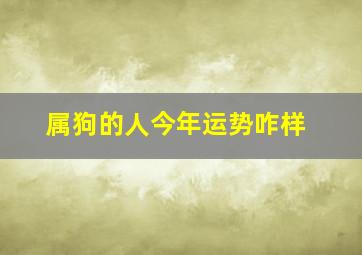 属狗的人今年运势咋样