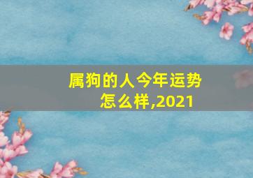 属狗的人今年运势怎么样,2021