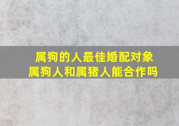 属狗的人最佳婚配对象属狗人和属猪人能合作吗