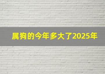 属狗的今年多大了2025年