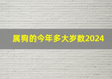 属狗的今年多大岁数2024