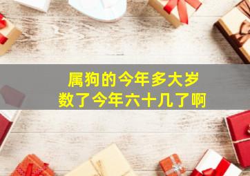 属狗的今年多大岁数了今年六十几了啊