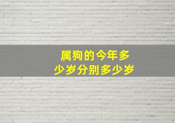 属狗的今年多少岁分别多少岁