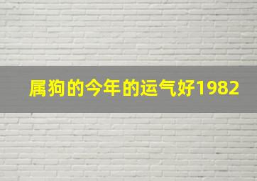 属狗的今年的运气好1982