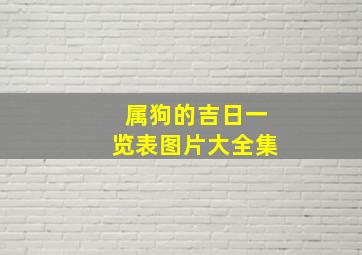 属狗的吉日一览表图片大全集