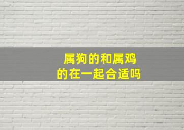 属狗的和属鸡的在一起合适吗