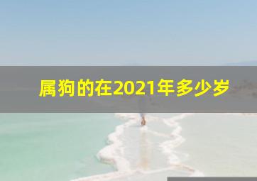 属狗的在2021年多少岁