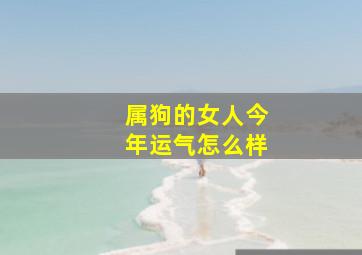 属狗的女人今年运气怎么样