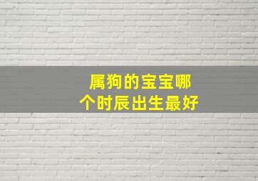 属狗的宝宝哪个时辰出生最好