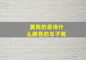 属狗的忌讳什么颜色的车子呢