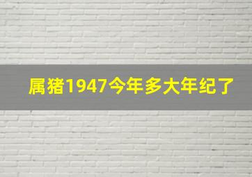 属猪1947今年多大年纪了