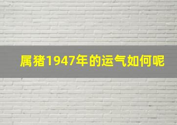 属猪1947年的运气如何呢