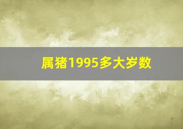 属猪1995多大岁数