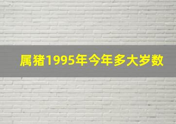 属猪1995年今年多大岁数