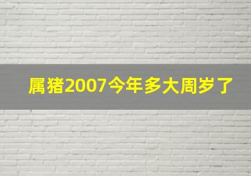 属猪2007今年多大周岁了