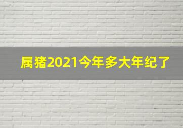 属猪2021今年多大年纪了